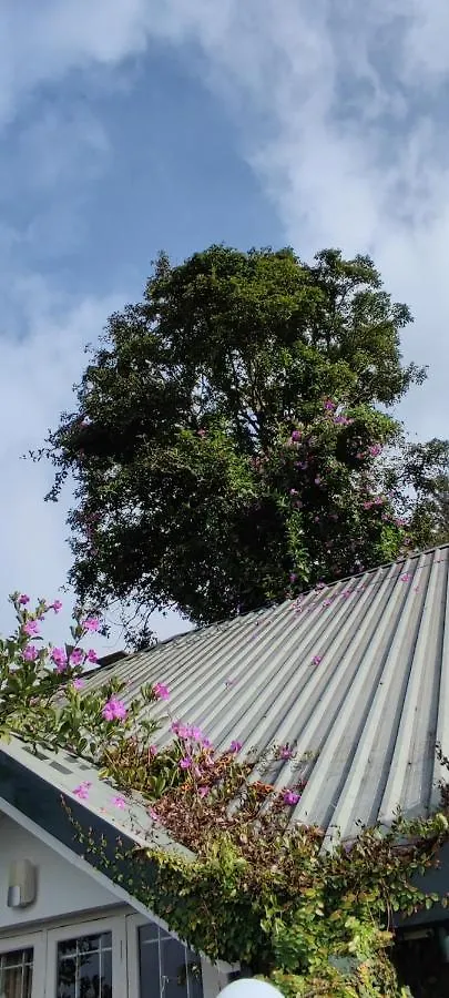 Munnar Tea Hills Resort - Mthr