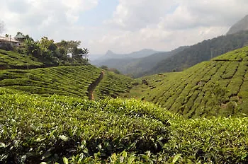 Munnar Tea Hills Resort - Mthr 4*,
