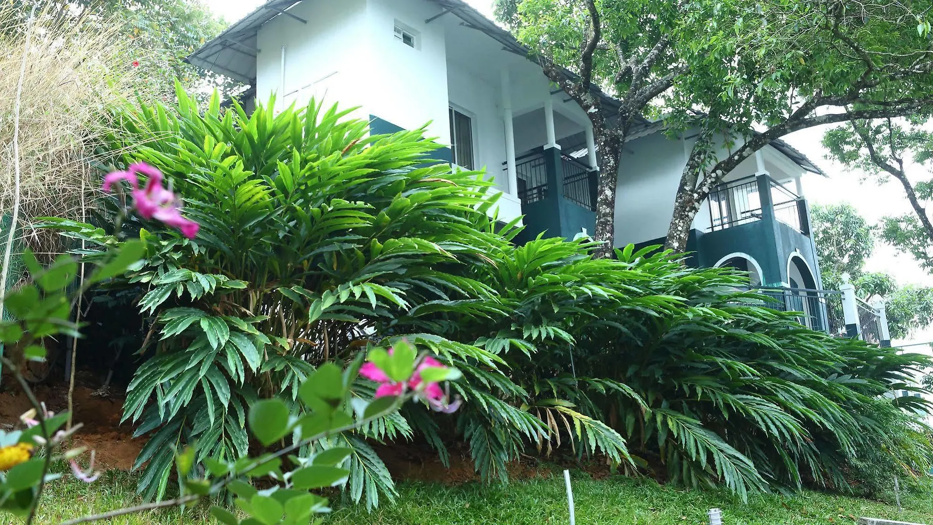 Munnar Tea Hills Resort - Mthr